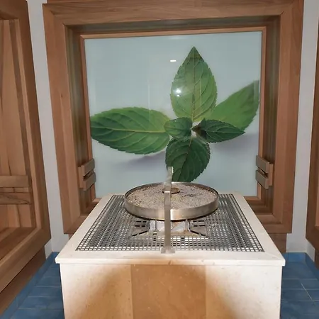 Hotel Urlaubshotel Binder